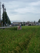 P8250266