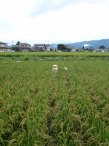 P8250259