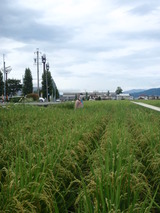 P8250264