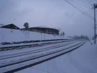 RIMG0015