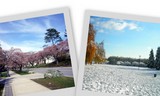 springsnow