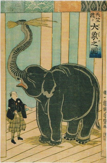 edo 001