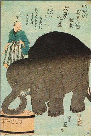 edo 002