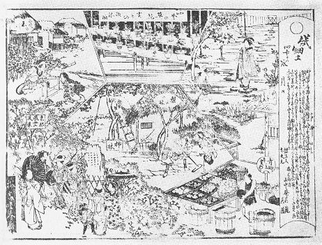 弘化元年（1844）甲辰 1月～3月 : 見世物興行年表