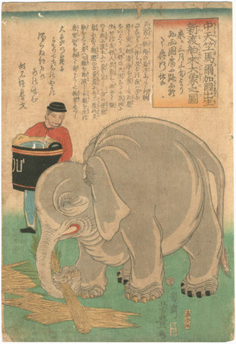象 古書