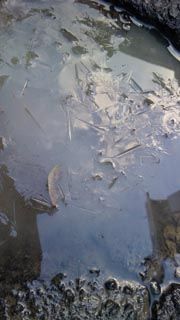 110117_氷が1