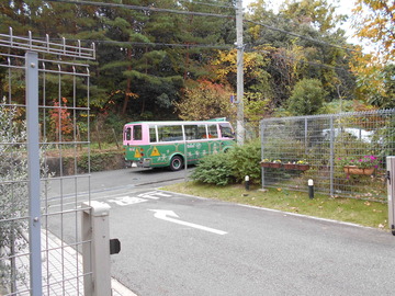 DSCN0322