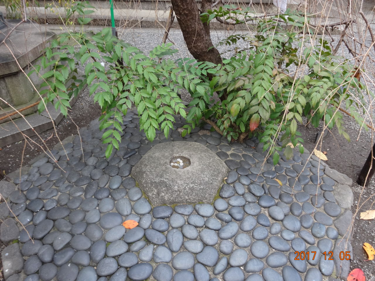 DSC00467