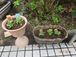 DSC00285