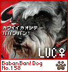 BaBanBanDog 158-LUC