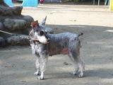 20051126丸山公園にて2