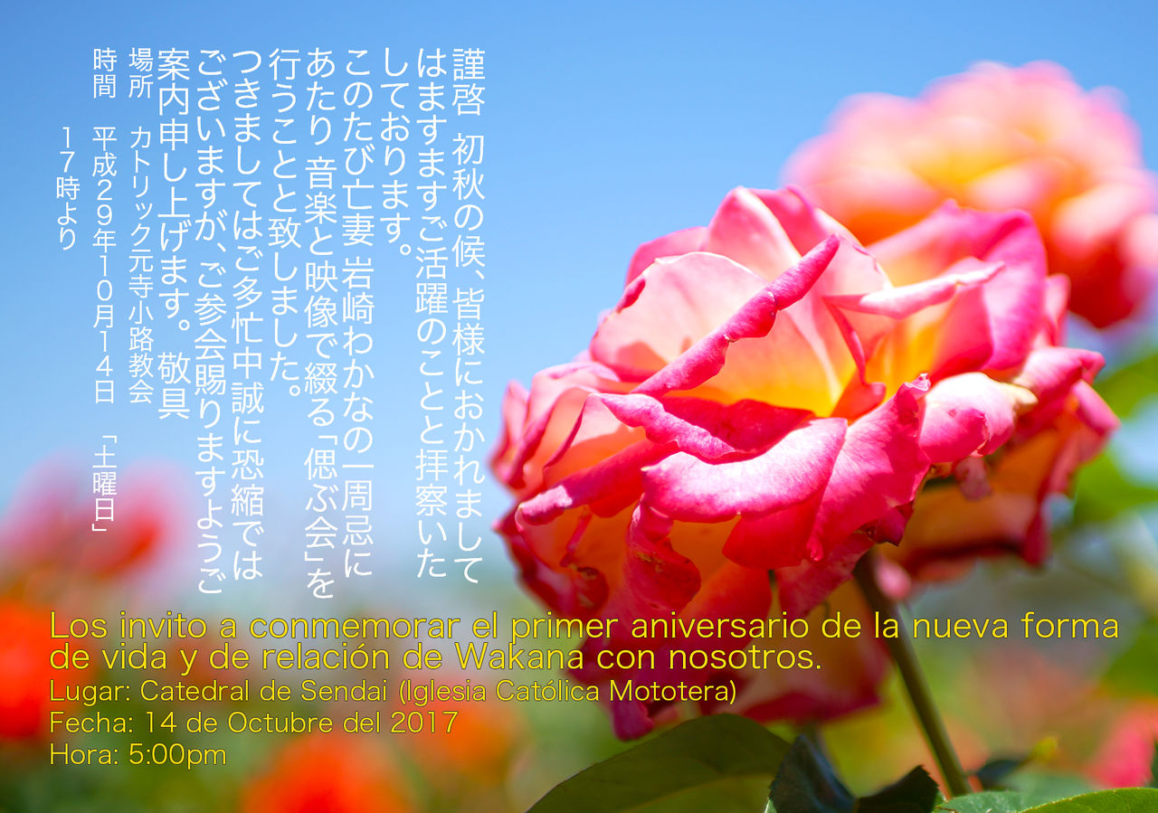 Tarjeta Aniversario Wakana 1748x1228 300dpi 2