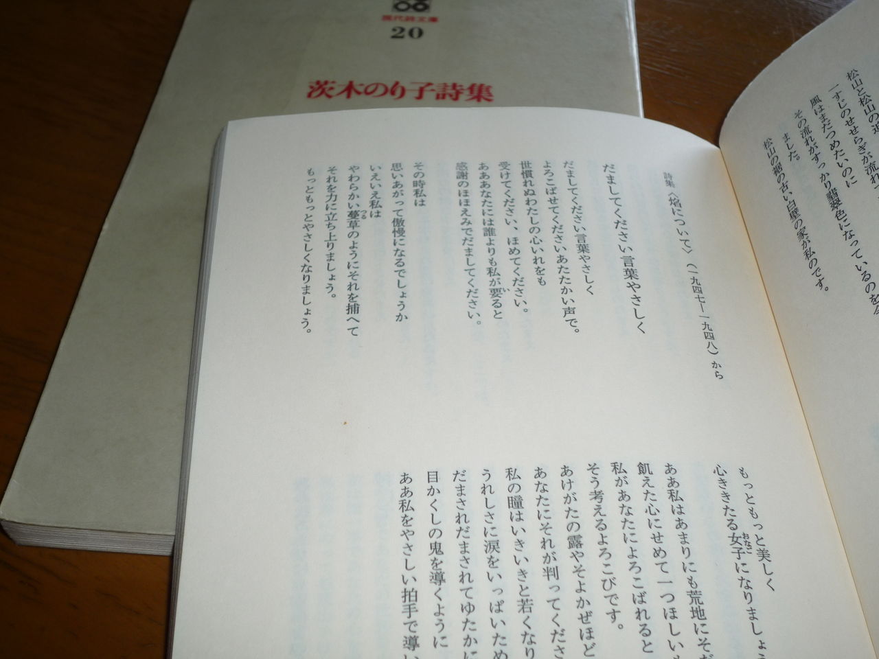 P1020246