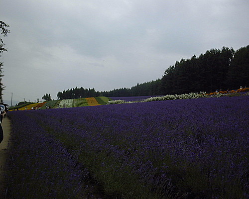 d89d1ff3.jpg