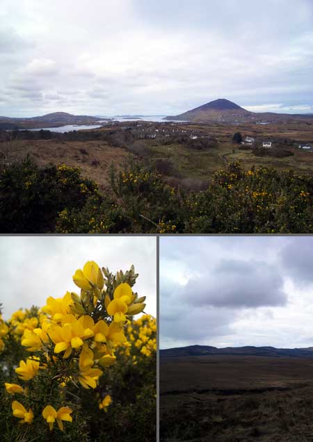 Connemara National Park01