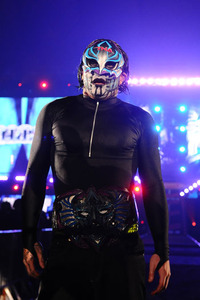 WWEJAKKS14インチJEFFHARDYジェフハーディー