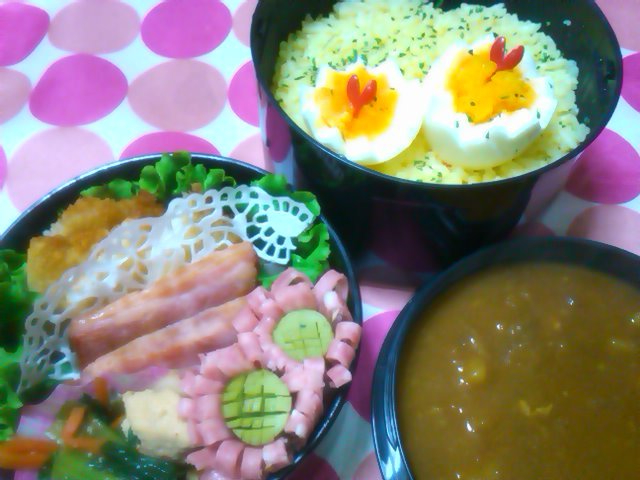 フウカさん家のお弁当-SN3L0270.jpg