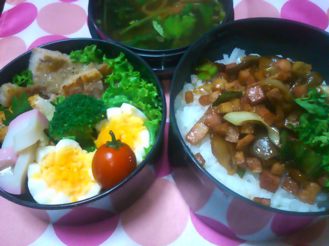 フウカさん家のお弁当-SN3L0319.jpg