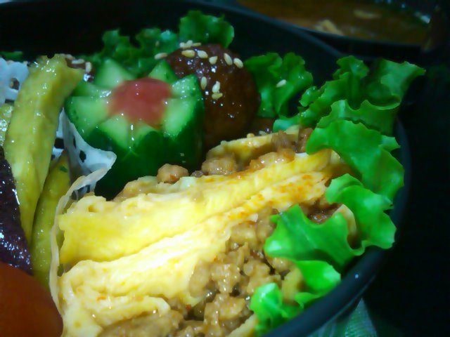 フウカさん家のお弁当-SN3L0161.jpg