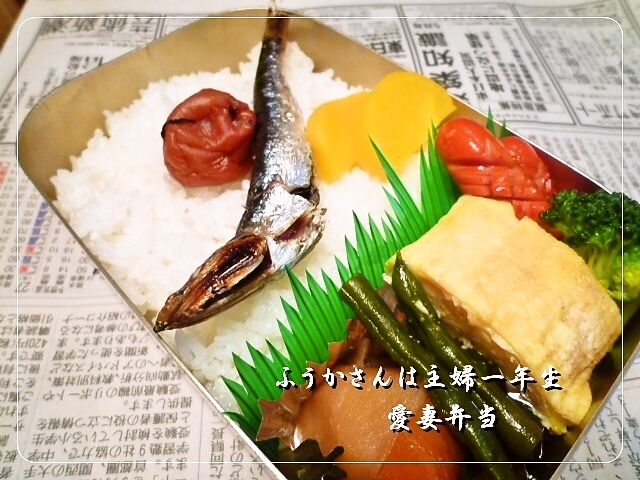 ふうかさんは主婦一年生-しょうわ全体.jpg