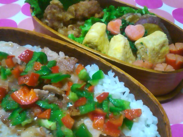 フウカさん家のお弁当-SN3L0216.jpg