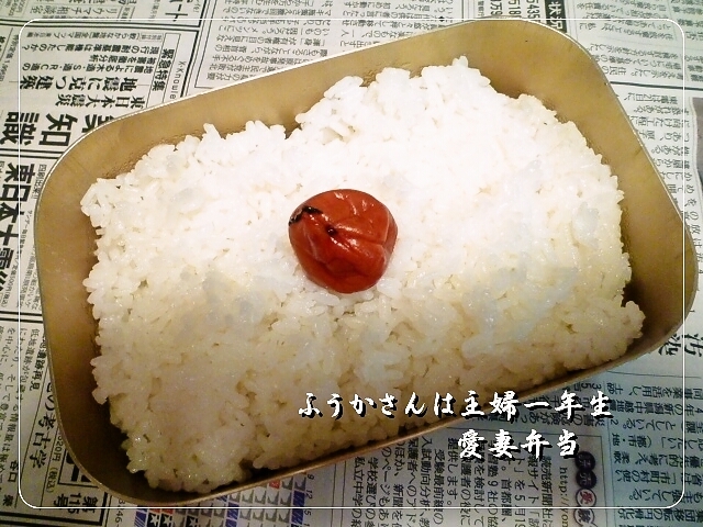 ふうかさんは主婦一年生-ひのまる.jpg