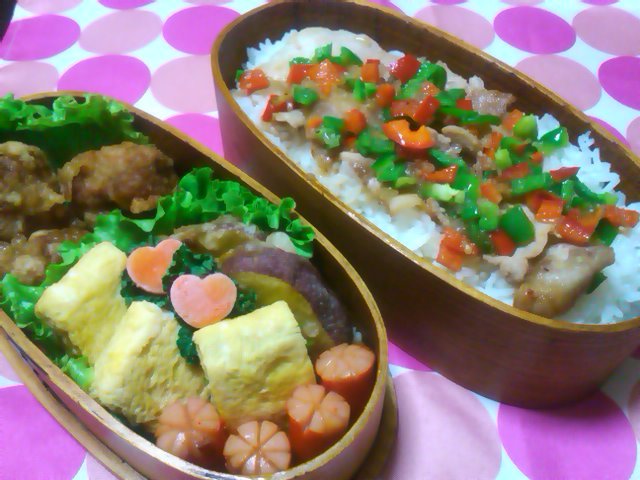 フウカさん家のお弁当-SN3L0214.jpg