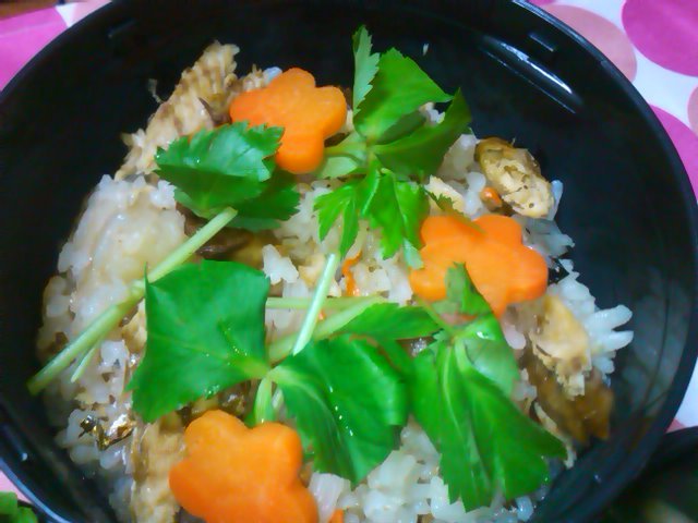 フウカさん家のお弁当-SN3L0299.jpg