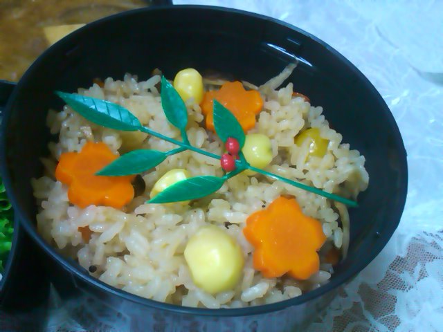 フウカさん家のお弁当-SN3L0175.jpg
