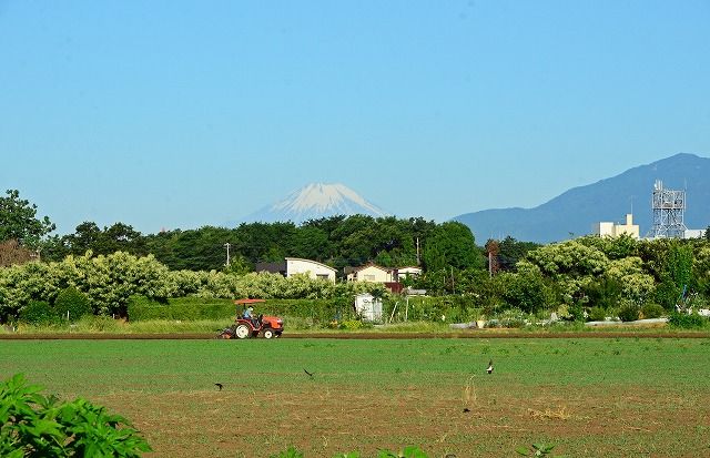 深谷原にて(2017.06.03)