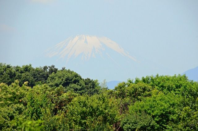 久しぶりの富士(深谷原から)