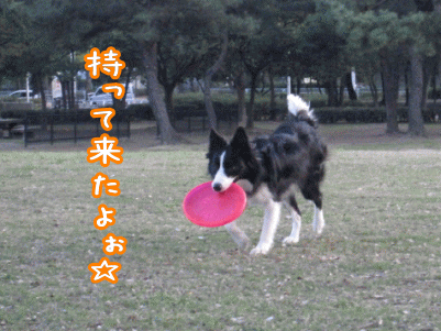 ����ݣ�