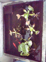 19f82519.jpg