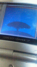 7cf895c9.jpg