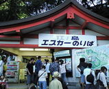 fc331160.jpg