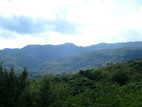 9D587432-91EF-4713-A9E1-2E99A8F53CFF