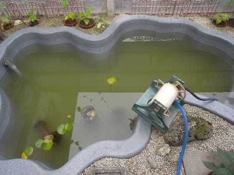 pond_02