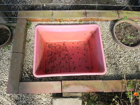 garden_02