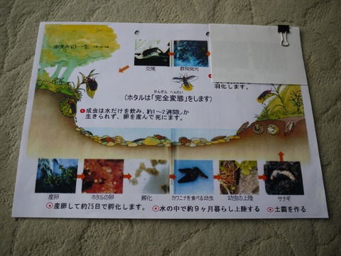 image_02