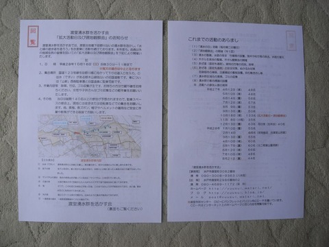 pamphlet_01