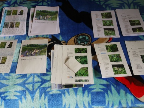 image_02