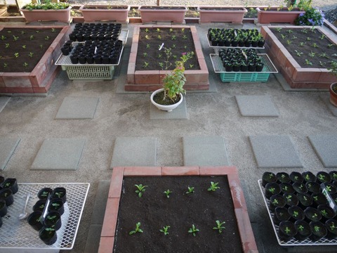 garden_02