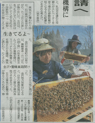 中日新聞さま朝刊