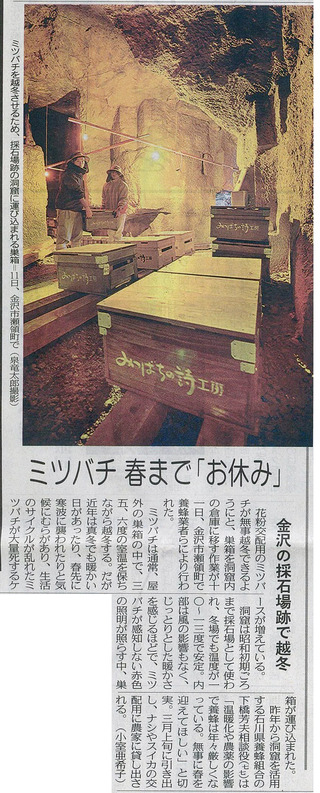 20131212_北陸中日新聞朝刊