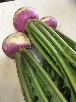 春野菜2 (1)