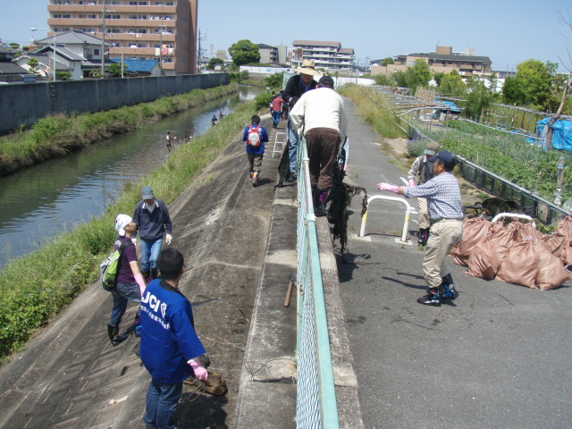 鍋田川の大掃除大作戦~クリーンアップリバー大東~ | 不妊|鍼灸|大阪|卵子の質|鍼灸治療は三ツ川レディース鍼灸院