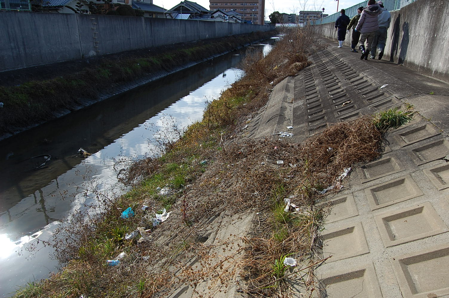 鍋田川のゴミの調査 | 不妊|鍼灸|大阪|卵子の質|鍼灸治療は三ツ川レディース鍼灸院