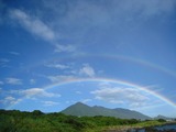 屋久島