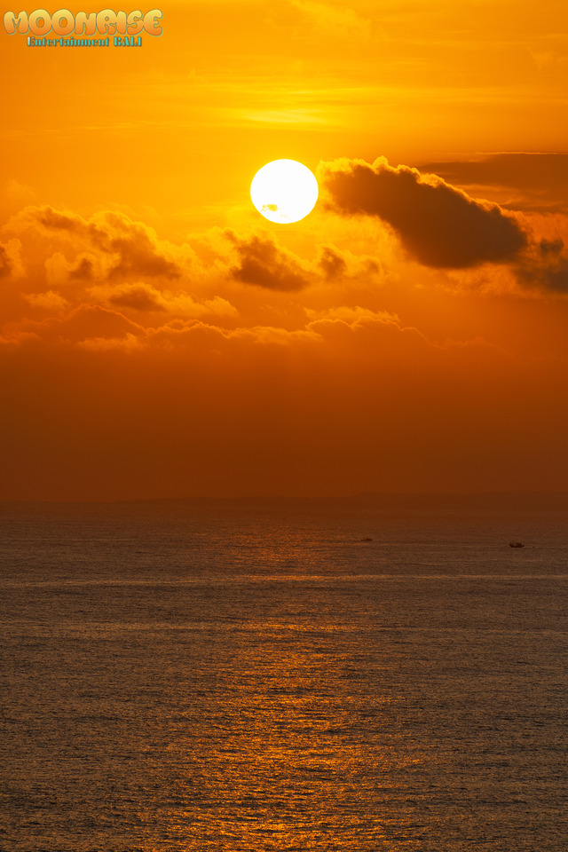 DSC_0308 のコピー