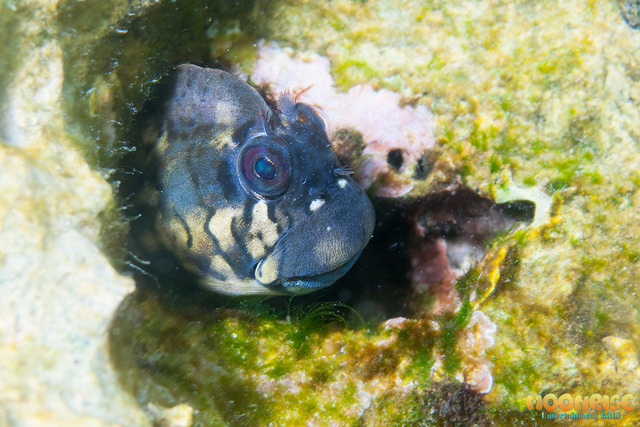 P1010214